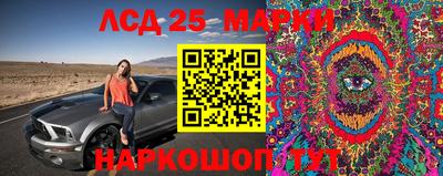 таблы Бийск