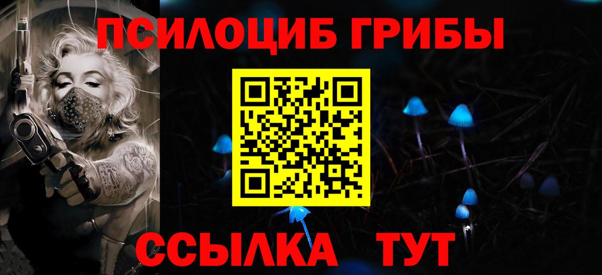 Псилоцибиновые грибы мицелий Вязники
